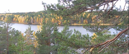 Utsikt över sjö med höstfärger.