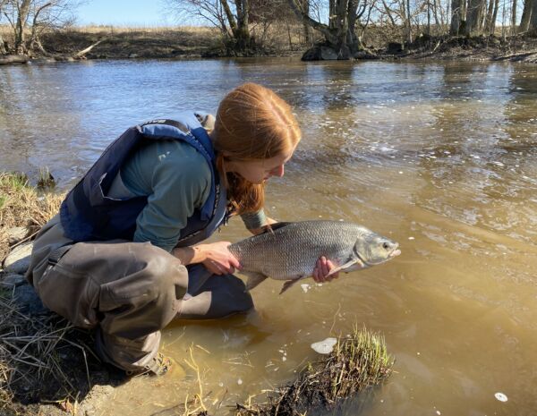 En kvinna sitter på huk vid ett vattendrag och håller i en stor fisk. Det ser ut som om hon är på väg att släppa ner den i vattnet.