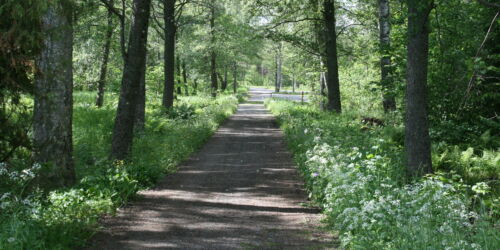SommarvägAspbo_KV_