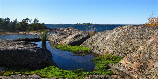 163f26e10ea91242e437b752cdf9427b_a66cfe63d5f8b2392da4a427d2e6030f