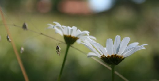 3757ea5ade52d8b0aa8bbc9ffec09039_b0d262445056f58e41e37b2fb9845bd9