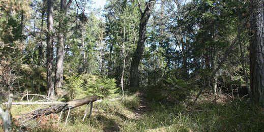 4f5c1adacbbc79ac6ff95772acce8846_f60c3b658aef1c321abaf0ff8809fafa