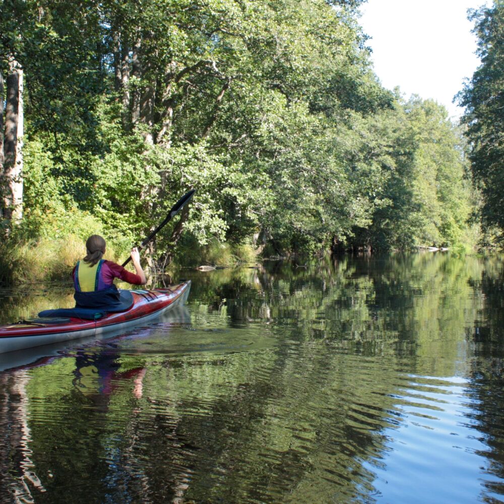 En person paddlar kanot i en å.
