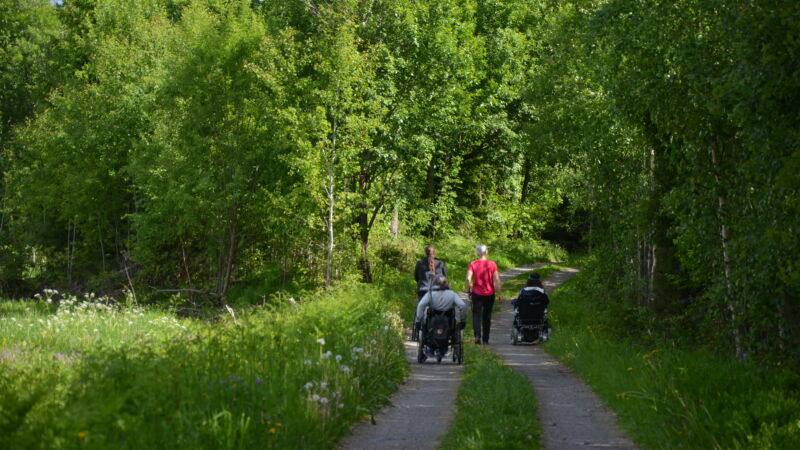 Skogsväg