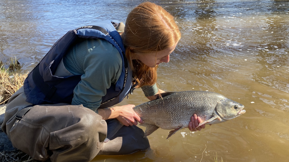En kvinna sitter på huk vid ett vattendrag och håller en stor fisk i händerna.