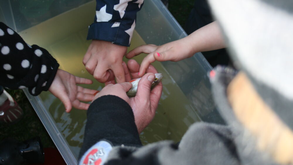 Enköpingsån_ryssjefiske_20120508_7211_US_ (1)