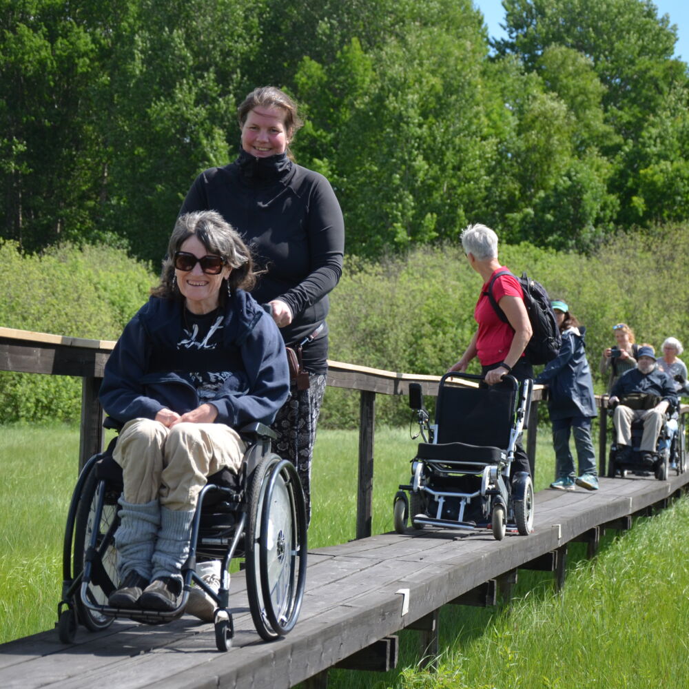 Rullstolsburna personer på en träspång med grönskande omgivning.