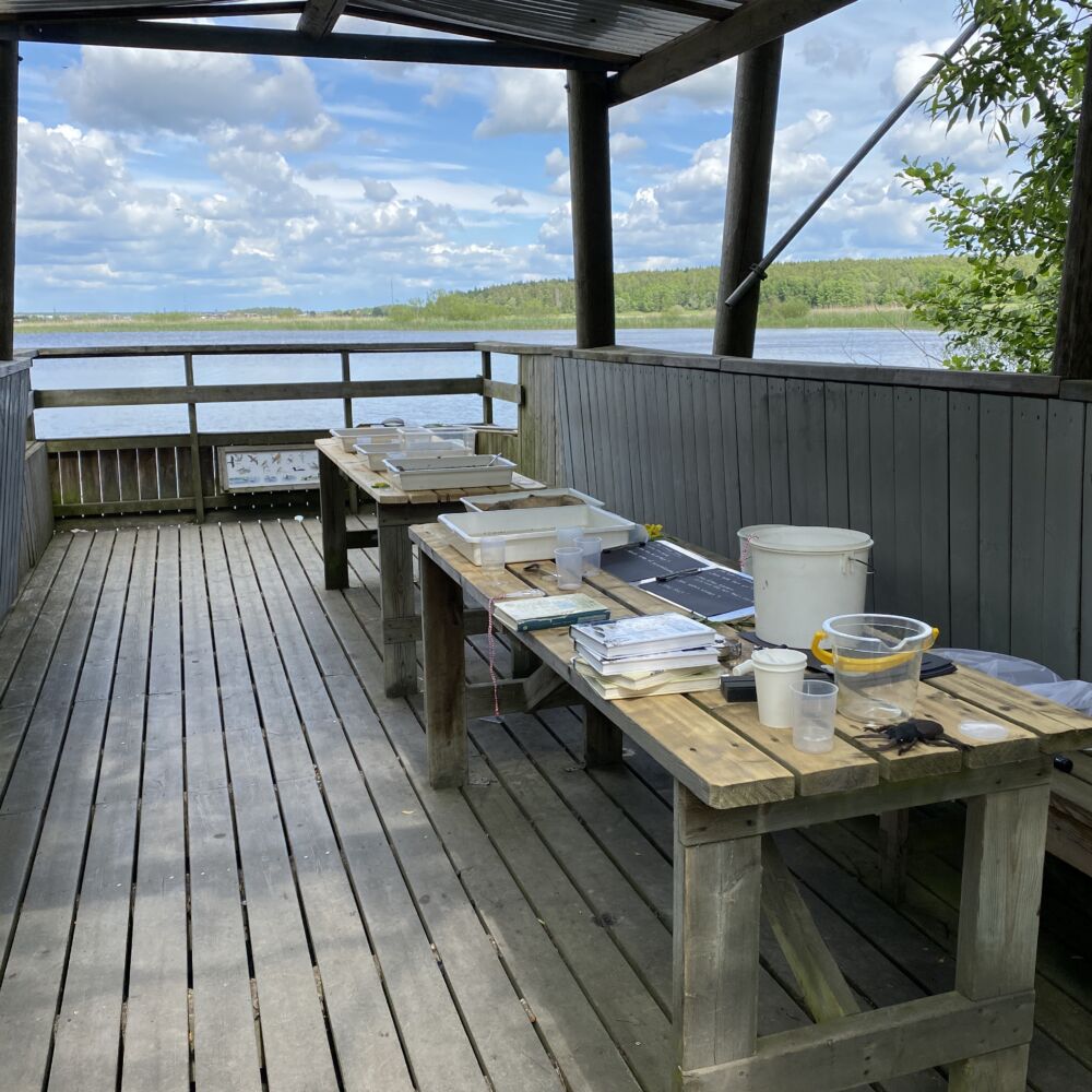 Ett bord i ett fågeltorn vid vattnet. På bordet är det 