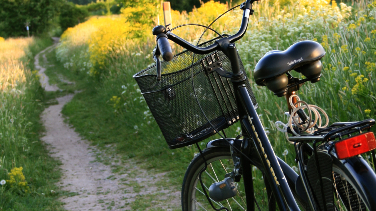 Cykel i grönska>