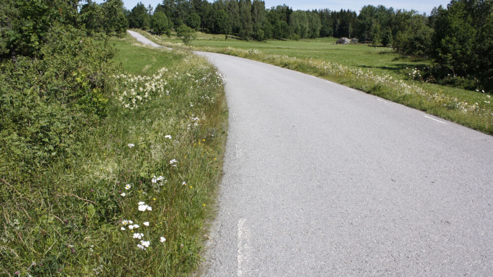 blommande-vagkanter-er-1-1.jpg
