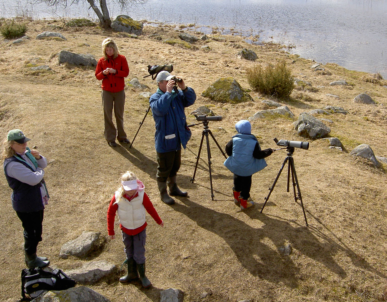 Människor står på en öppen gräsyta med tre kikarstativ intill sig. En av personerna tittar i en handkikare.>