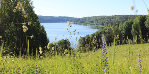 granasen-ullfjarden2-aw.jpg