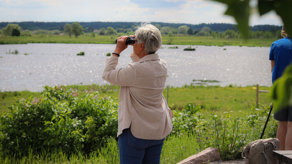 Områden och naturreservat - Upplandsstiftelsen