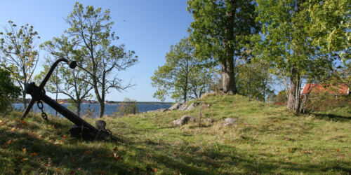 img-6826-ap-.jpg