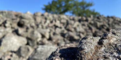 img-8357.jpg