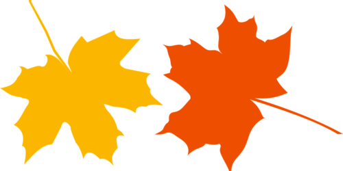 autumn-2027676_1280