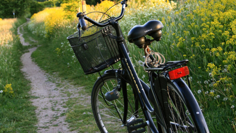 cykel-sommar-ap-.jpg