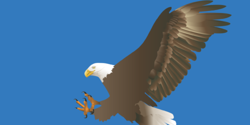 eagle-3210215_1280