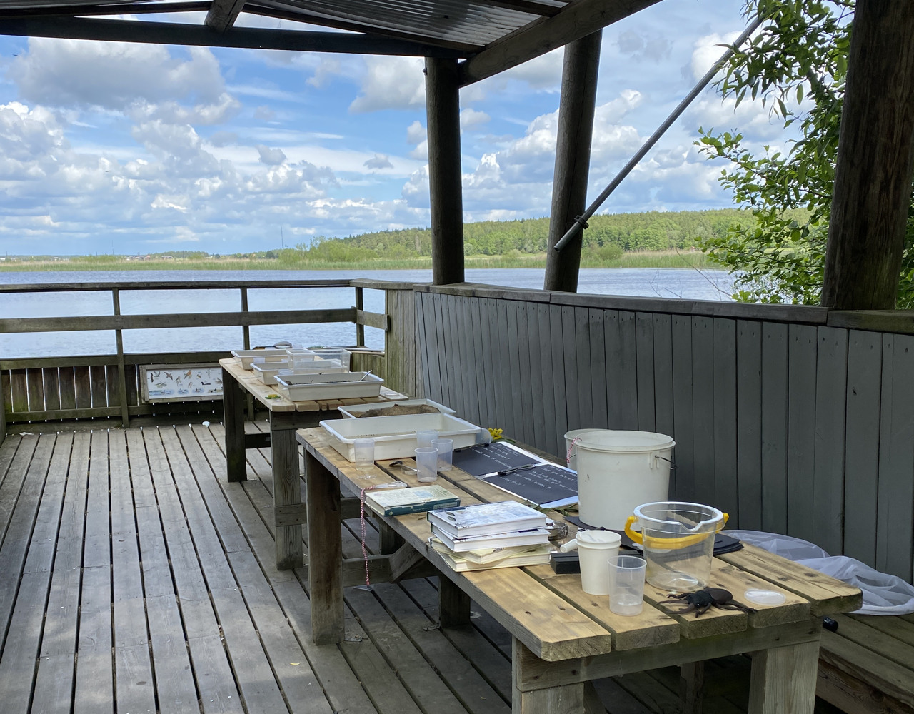 Bord med grejer för vattenaktivitet>