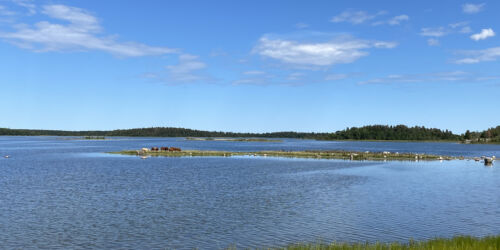 kallriga-fageltornet-harudden-3.jpg
