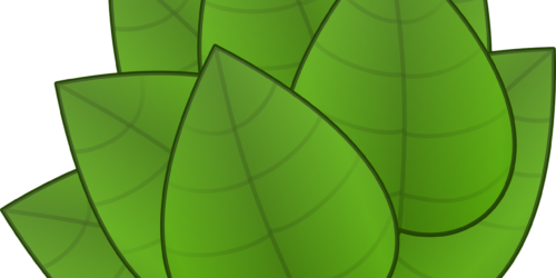 leaves-32261_1280