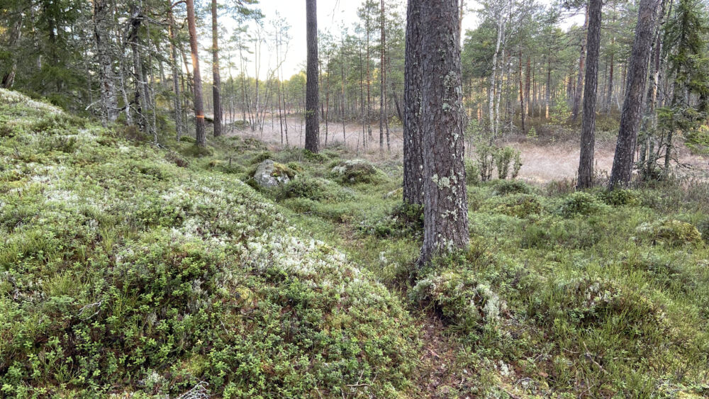 img-9524.jpg