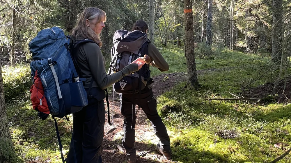 Två kvinnor vandrar längs en skogsstig med stora ryttsäckar på ryggen. Den ena håller en svamp i handen.