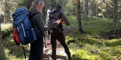 Två kvinnor vandrar längs en skogsstig med stora ryttsäckar på ryggen. Den ena håller en svamp i handen.