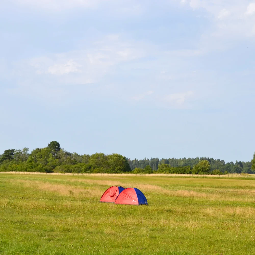 Ett tält på en äng.