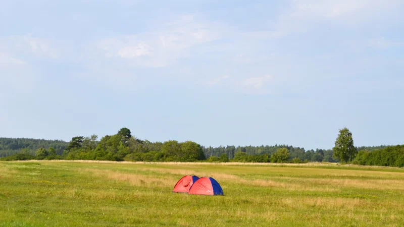 dsc-0243.webp