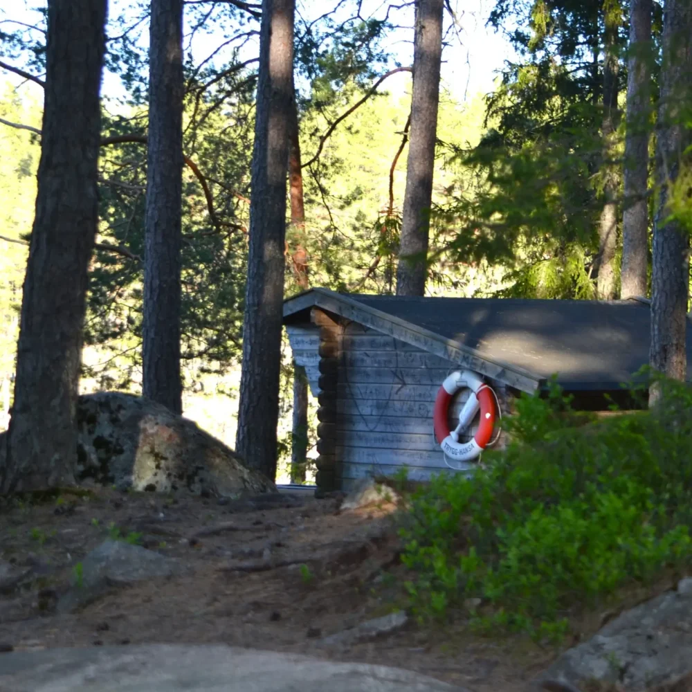 Ett vindskydd i skogen