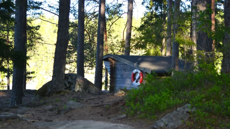 dsc-1382.webp