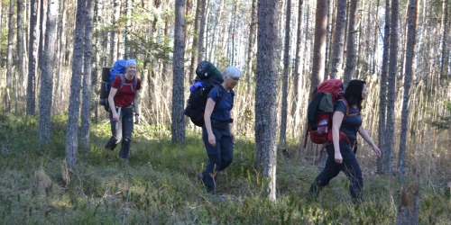 Tre kvinnor vandrar med stora ryggsäckar genom en skog.