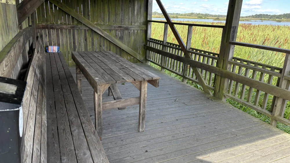 Ett picknickbord på ett trädäck i ett fågeltorn med utsikt över vass och sjö.