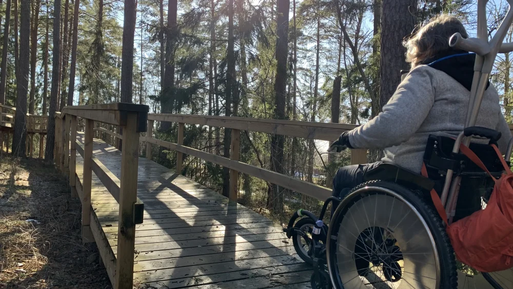 En person i rullstol är på väg att rulla upp på en träramp i skogen, med staket på bägge sidor.
