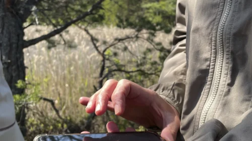En person håller i en mobiltelefon