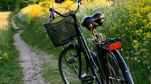 Cykel_sommar_AP_