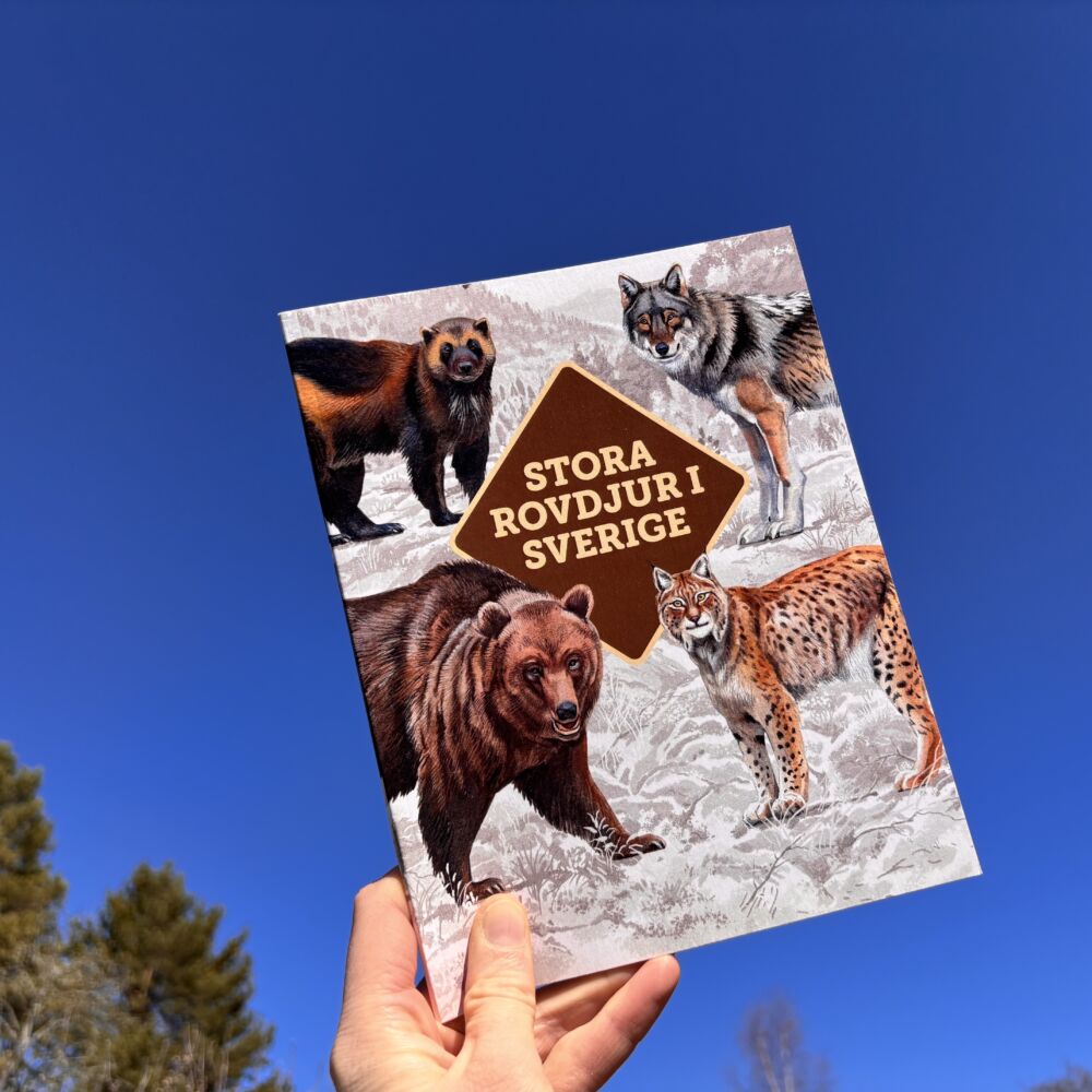 Bild på bok med text 