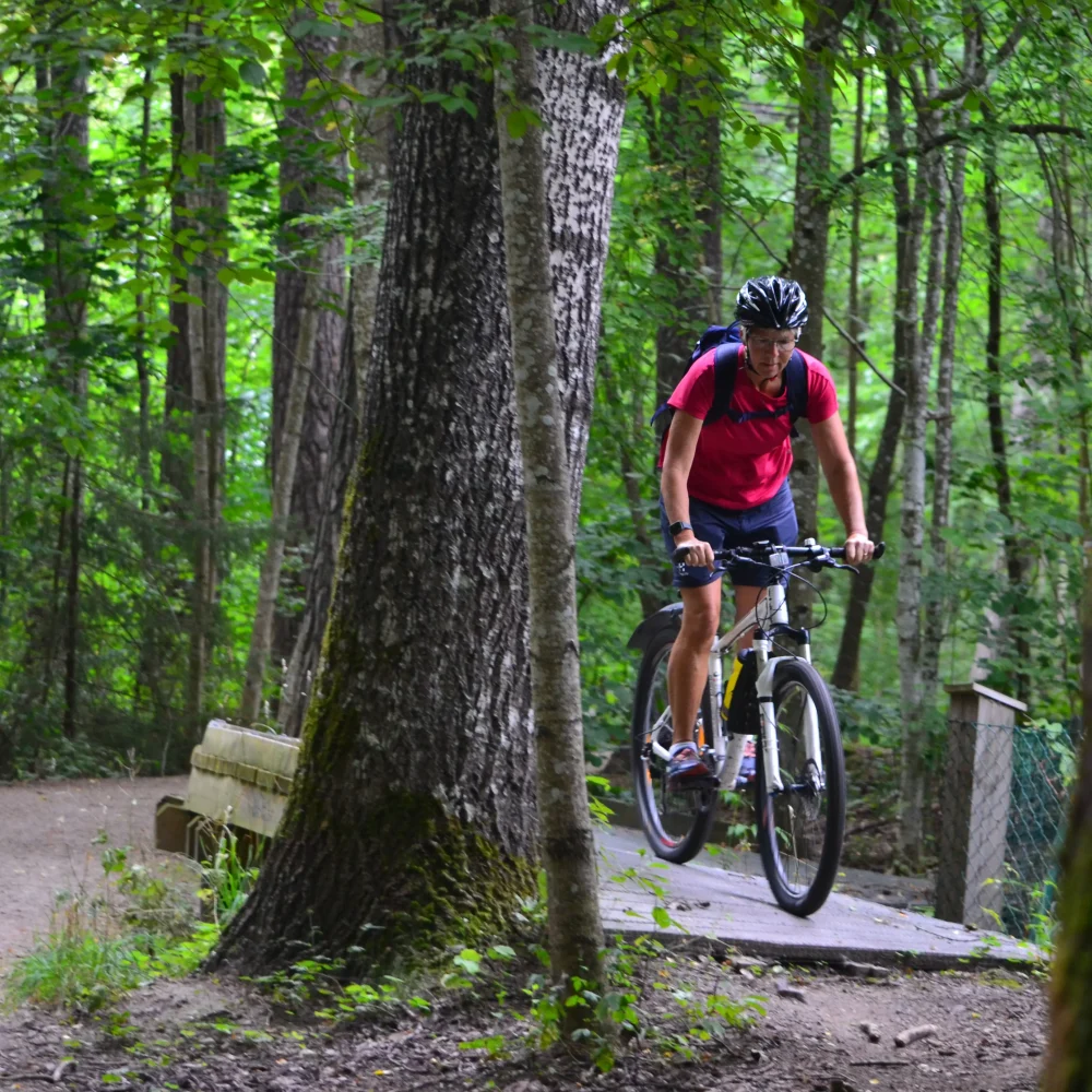 En kvinna cyklar genom en skog.