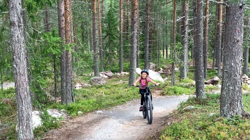 En person som cyklar på en stig i skogen.